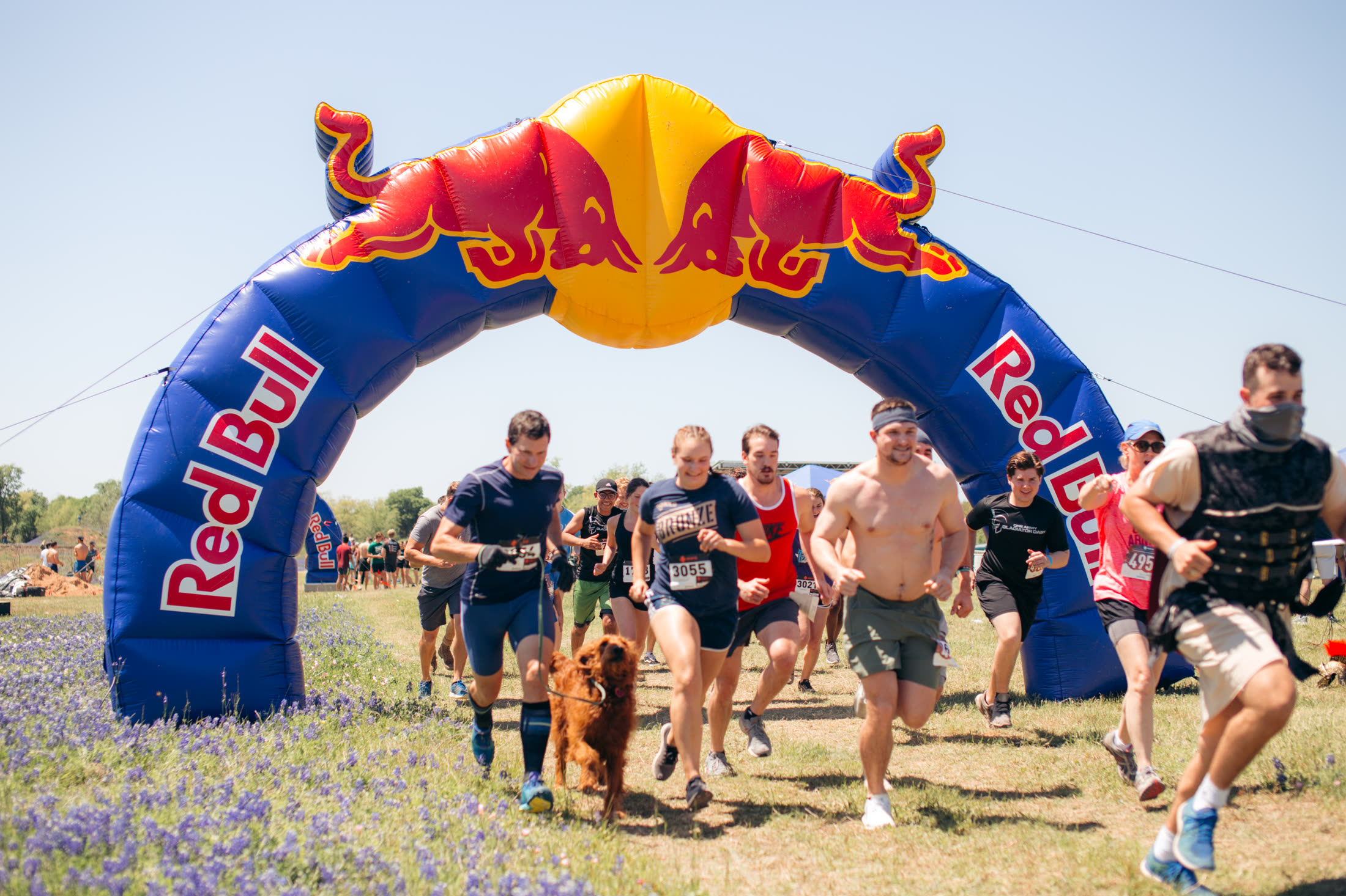 Runners of all kinds setting off under the start arch, one with a dog on a lead